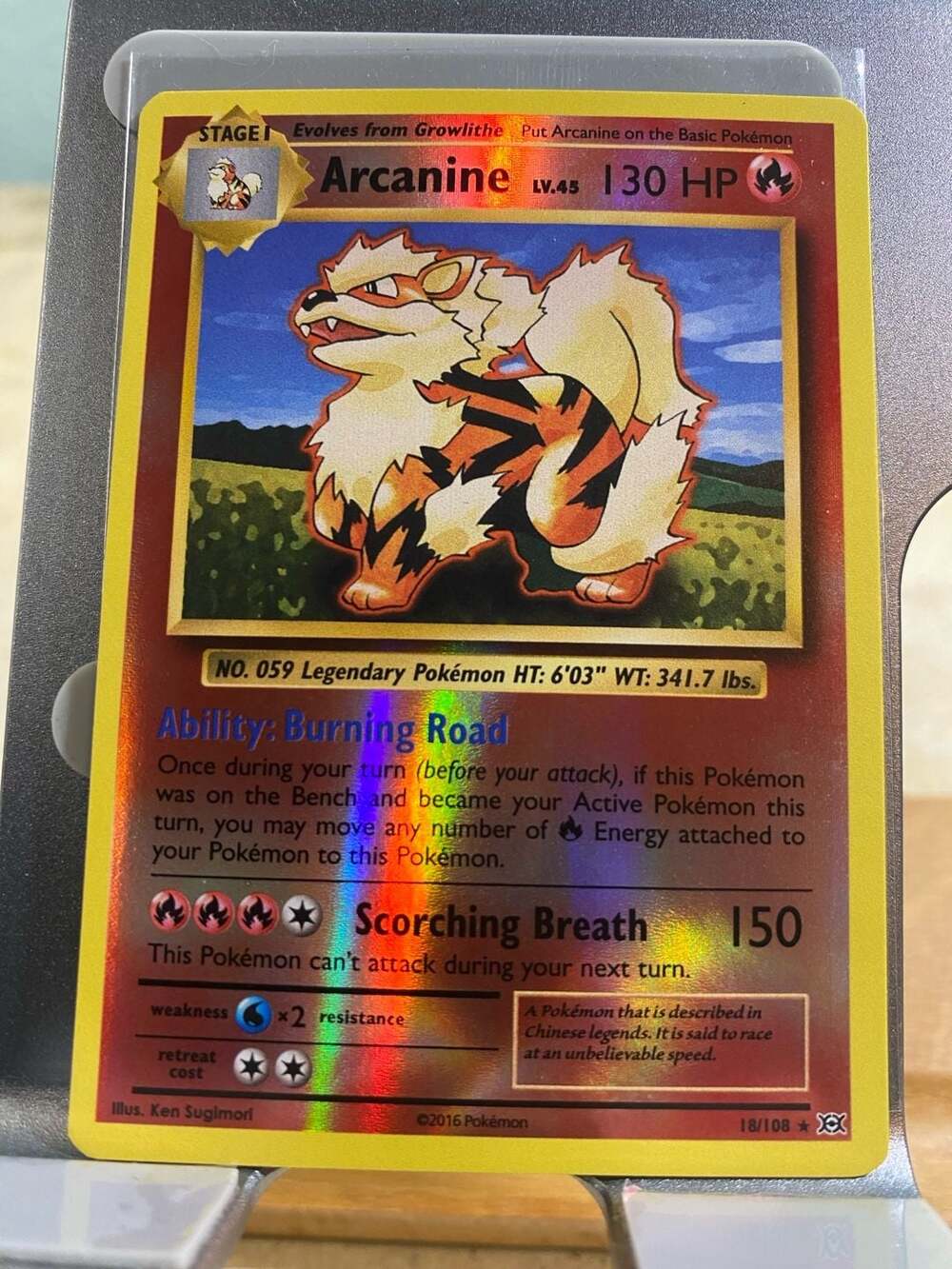 Arcanine 18/108 Holo Rare Pokemon Card XY Evolutions